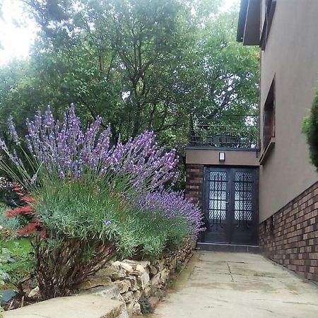 Apartman V Zahrade Praha Troja - Apartment In The Garden Prague Troja Buitenkant foto